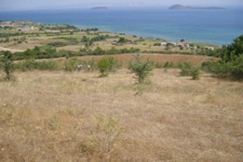 Sakarya'da 1 milyon 668 bin TL'ye arsa!İcradan!