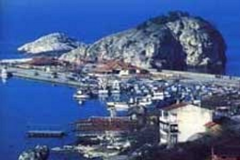 şile Orman İşletmesi arsa karşılığı trampa ihalesi yapacak!