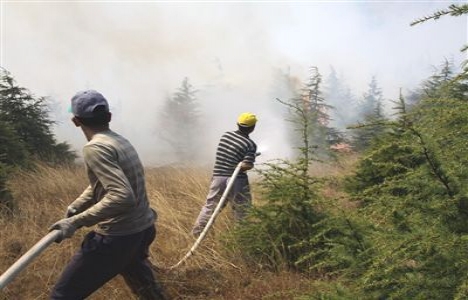  Kızılcahamam'da 100 hektar orman yandı!