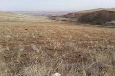 Balıkesir Sındırgı 'da 30 yıllığına 66 bin 749 metrekare arazi!