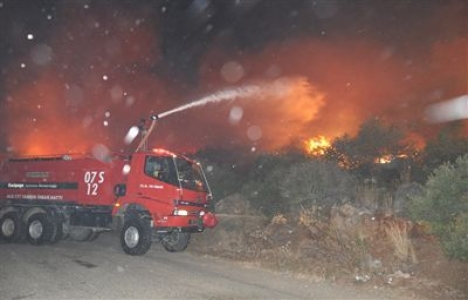  Alanya'nın Güzelbağ beldesinde orman yangını çıktı!