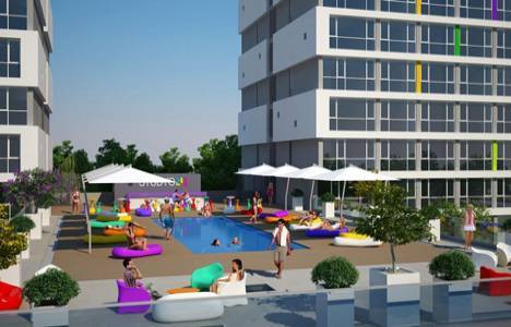  Stüdyo 24 resimleri! 