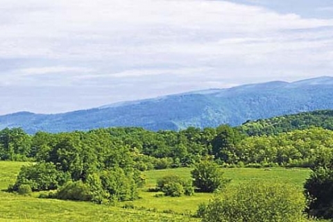 2B yasa tasarısının 8 maddesi komisyonda kabul edildi! Satışlar yarı fiyatına!