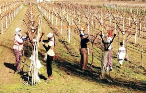 Kırsal kalkınma yatırımlarının desteklenmesi hakkında tebliğ!