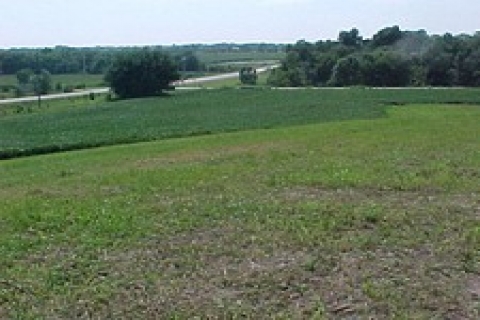Ankara'da sulh hukuk mahkemesi 9 araziyi satıyor!