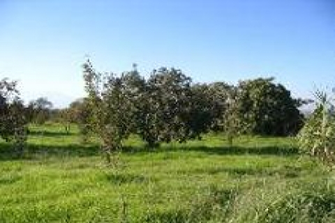 İBB Beyoğlu'nda arsa satacak