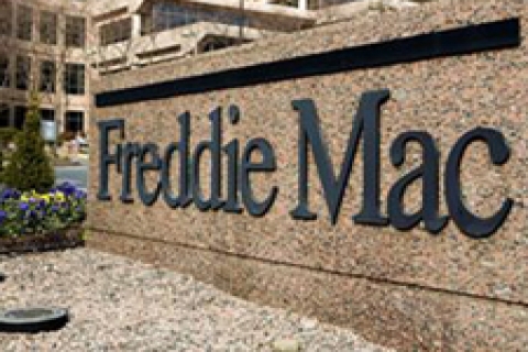 Mortgage devi Freddie Mac zarar etti