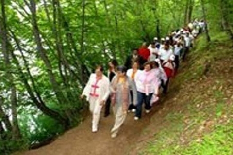 Çevre ve Orman Bakanlığı: Kişilerde 1.5, otomobiller için 7.5, otobüsler için 30 TL alınacak!