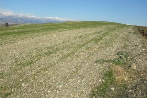 İzmir Torbalı'da 1.2 milyon TL'den satılık tarla!