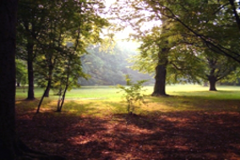 2-B satışında hedef 6,5 milyar TL