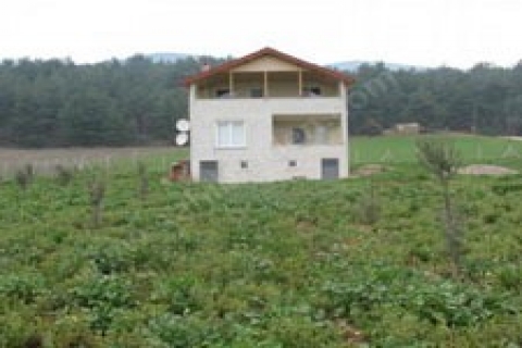 Ordu'da icradan 1 milyon 283 bin TL'ye satılık tarla ve ev!