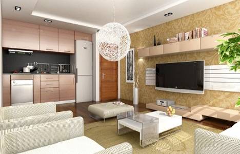 Zin D Natura örnek daire!