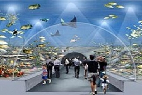 Florya'daki İstanbul Akvaryumu martta kapılarını açacak!