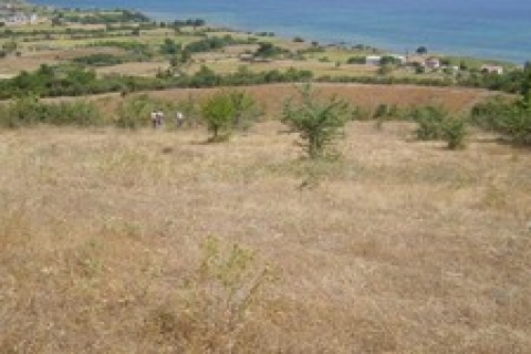 Sembol İnşaat, Kazaklar'ı Han Çadırı'nda oturtacak