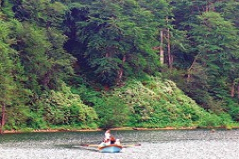 Karadeniz'in zümrüt yeşili koruma altında!