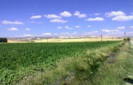 Nevşehir'de icradan satılık 4 bağ, 3 arsa 28 milyon 113 bin TL! 