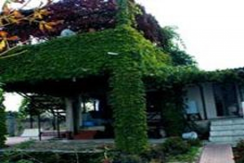 Cem Garipoğlu'nun saklandığı iddia edilen ev değerlendi