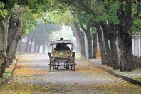 Adalar tarihi Taş Mektep binasında toplanacak