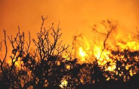  Alevler 2 bin İspanyol'u evinden etti! 