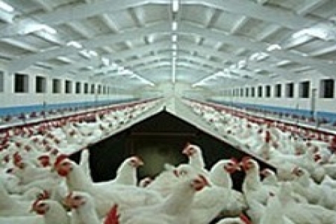 Çorum'da 3 milyon 770 bin liraya icradan satılık rendelik tesisi!