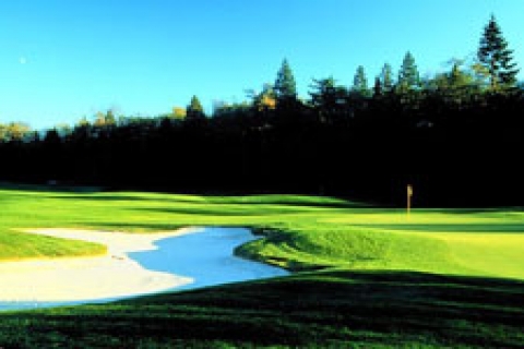 Danıştay'a rağmen golf sahası yapımına devam