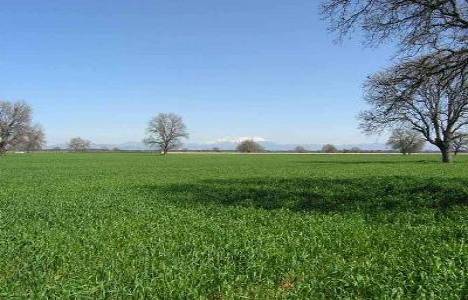 Kamulaştırılan arazilerin iadesi!