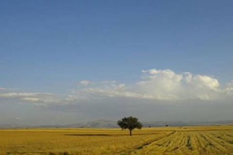 Konya Ovası kuraklık tehlikesi yaşıyor!