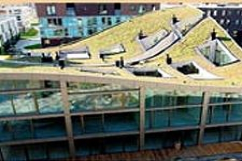 Tepe çatılı evler, parkın içine konumlandırılmış