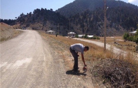 Antalya Karagöl Yaylası'na park yapılacak!