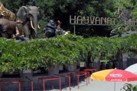 Atatürk Orman çiftliği 'nde kiralık çay bahçesi!