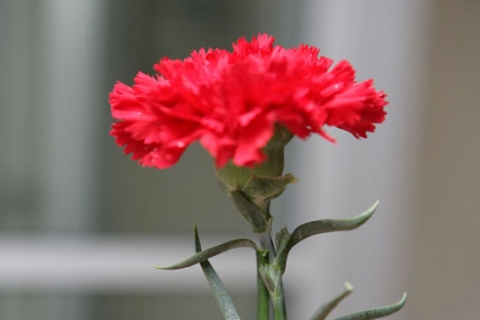  Ersin Uslu vefat etti! Oflaz Grubu'nun acı günü!