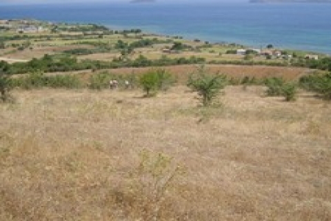 Eğirdir Belediyesi'nden 21 adet satılık arsa!