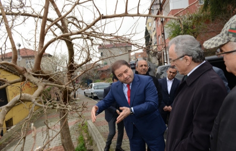 Maltepe'de 2 mahalleye Dikmen Vadisi önerisi!