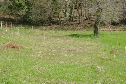 İzmit Seka Park ve Uzunçiftlik'te satılık iki arsa! 72 milyon 500 bin dolara!