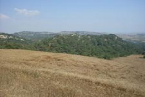 Adana-Seyhan'da satılık 2 arsa!