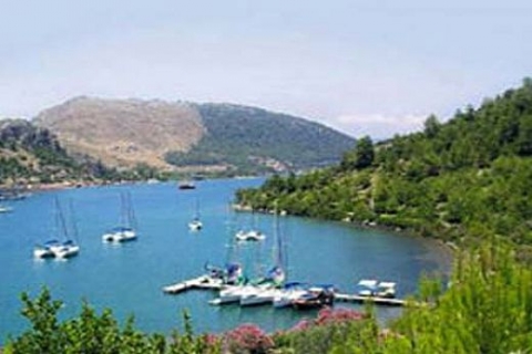 Ege kıyılarında satılık koyların fiyatları 225 bin liradan başlıyor!