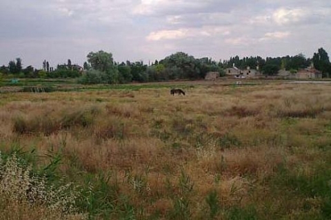 Konya Karatay Belediyesi'nden satılık 5 arsa ve tarla! 35 milyon 134 bin TL'ye!