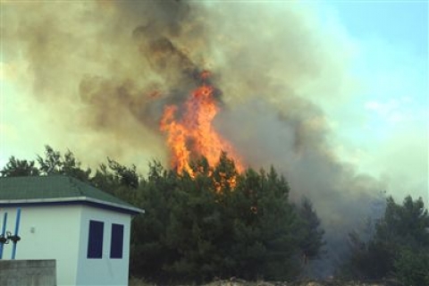  Antalya'da ormanlık alanda yangın çıktı!