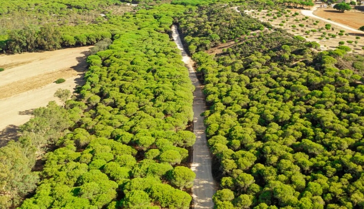 Bingöl ve Adıyaman da 72 adet arsa satılıyor! İl Özel İdare den gayrimenkul fırsatı!