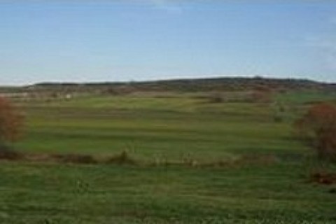 Pendik'te icradan 600 bin TL'ye satılık arsa!