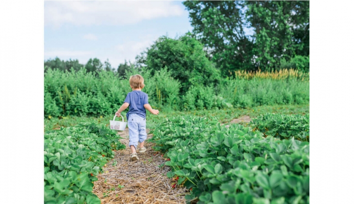 Başka Köy Milas ta her şeye yeniden başlayın! 500 bin liradan başlayan fiyatlarla ortaklık fırsatı!