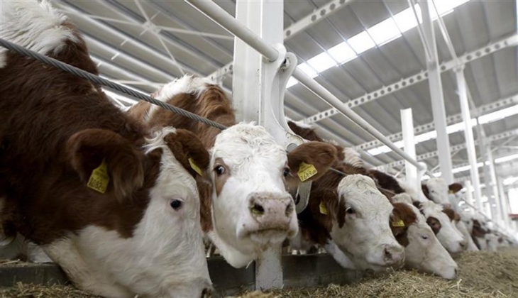Bakanlıktan son dakika açıklaması! Desteklerden yararlanmak için son bir hafta!