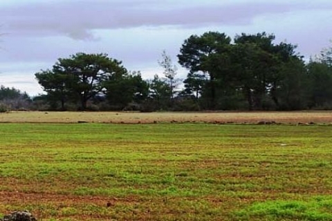 Gaziantep Şahinbey Belediyesi'nden Güneykent'te satılık 8 arsa!