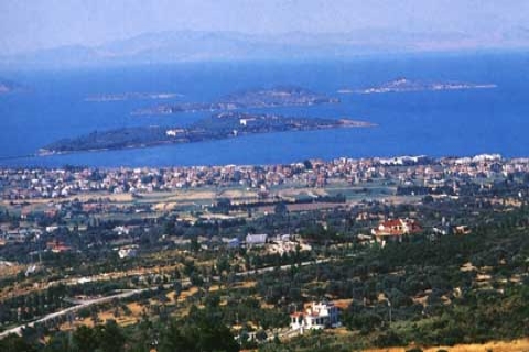 İzmir Urla Tarla