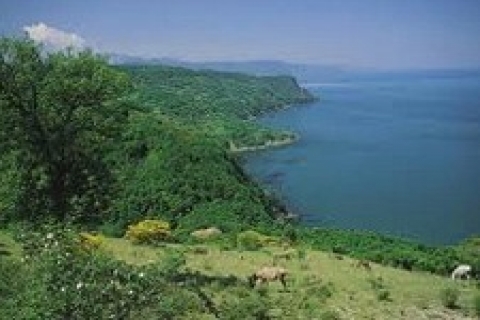 Konut Aş'den Karadeniz kıyılarına proje!