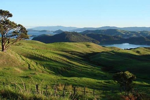 İnternetteki satılık 2B arazisi ilanları yüzde 357 arttı!