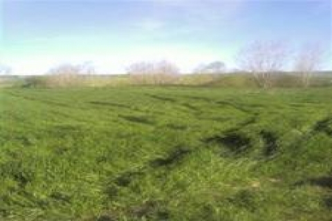 Kadıköy Belediyesi'nden satılık 2 arsa!