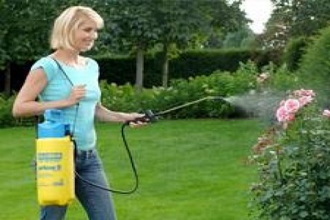 Botanika, Türkiye'deki hobi bahçeciliği sektörünün öncüsü!