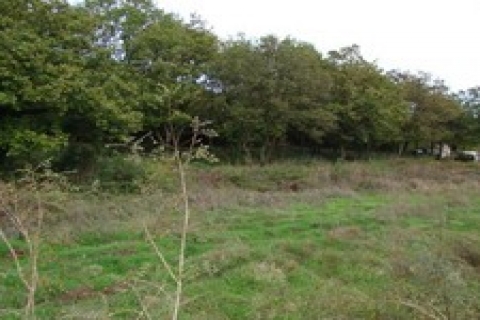 Yomra'da icradan 1.3 milyon TL'ye satılık arsa!