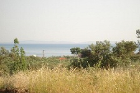 Balıkesir Vakıflar 'dan kiralık arsa!